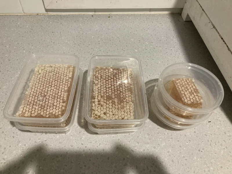 Desert Collection Honeycomb - 200g. Raw honeycomb straight from the hive. No processing, no spinning - just wax, honey, and whatever the bees decided to include. Back later this year.